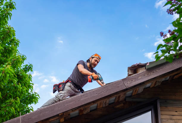 Best Metal Roofing Installation  in University Place, WA