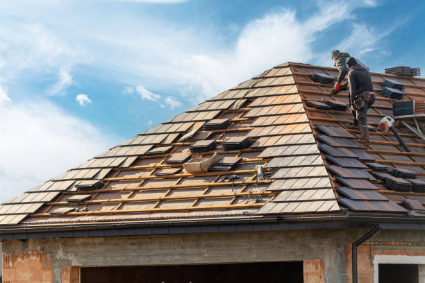 Best Roof Moss and Algae Removal  in University Place, WA